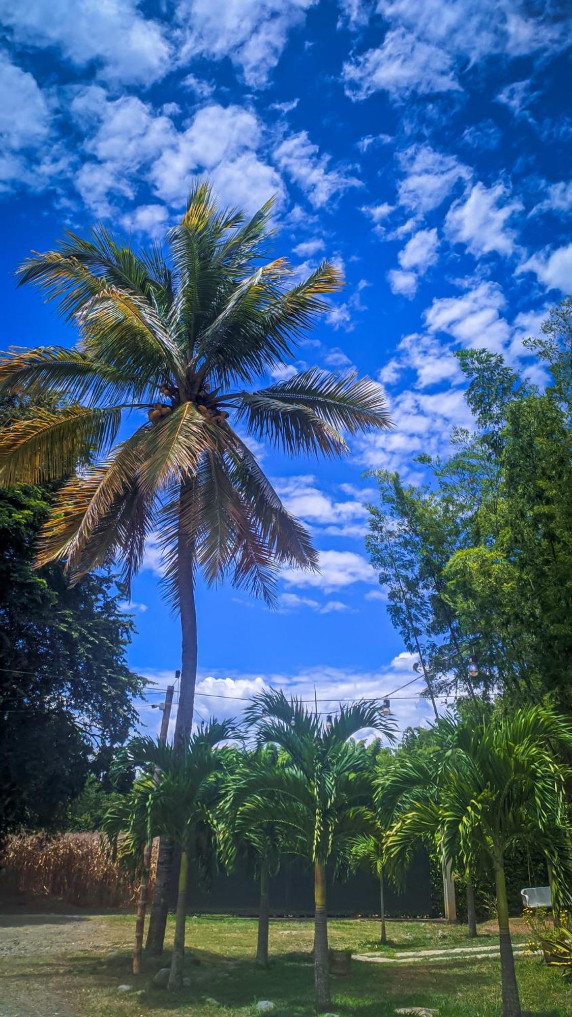 Hotel Campestre Campos Verdes Roldanillo Bagian luar foto